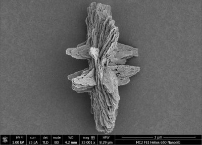 Microscopic image of a wheel-shaped microparticle with many layers