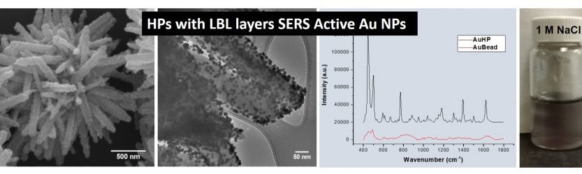 HPs with LBL layers SERS Active AU NPs