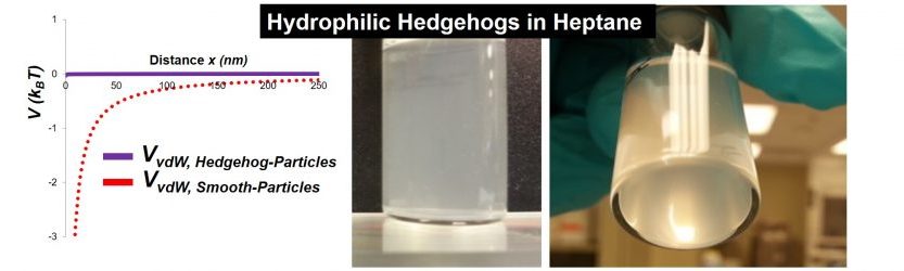 Hydrophilic Hedgehog particles in heptane