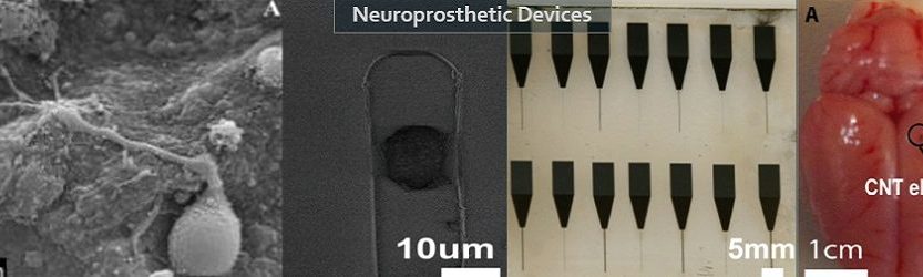 Neuroprosthetic devices