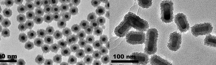 Supraparticle microscopic image
