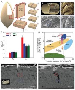 Publications (2023) – Kotov Lab