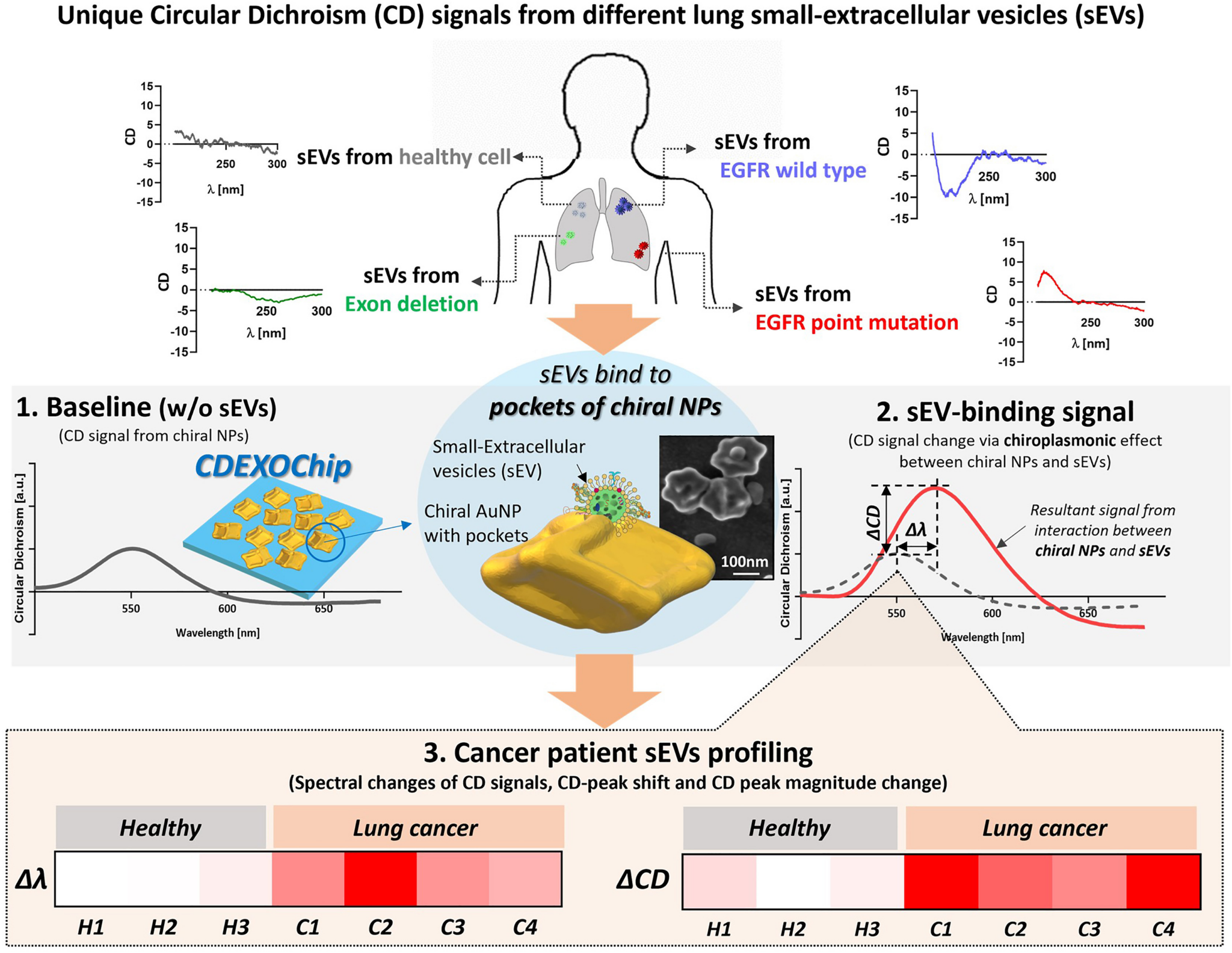 Publications (2024) – Kotov Lab